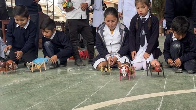 BOLIVIA_FERIA ROBOT2.jpg